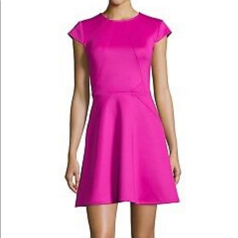 Ted Baker Fuchsia Eebrr Skater Dress sz 0 = 2